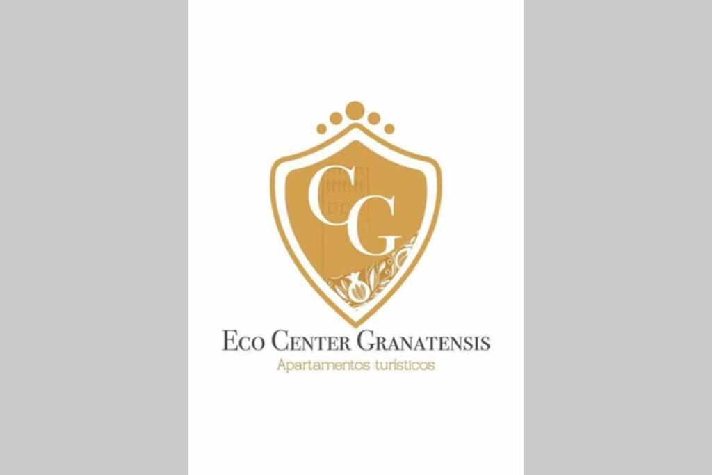 Eco Center Granatensis Catedral 2 Habitaciones Free Parking Granada Exterior foto